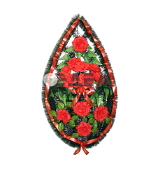 Кенгуру