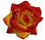 Роза бархатная 15,5см